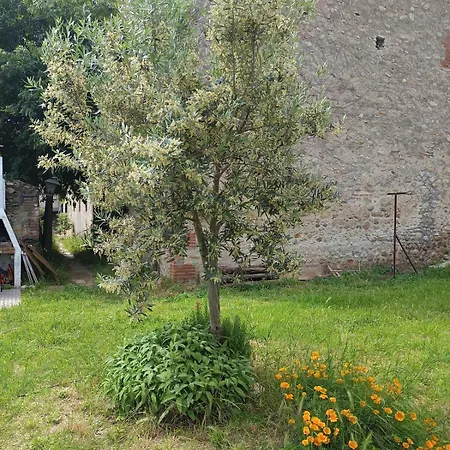 Belle Maison Lumineuse En Pierre Catalogne - Argeles Sur - Collioure