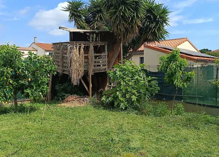 Belle Maison Lumineuse En Pierre Catalogne - Argeles Sur - Collioure 別荘 Palau-del-Vidre