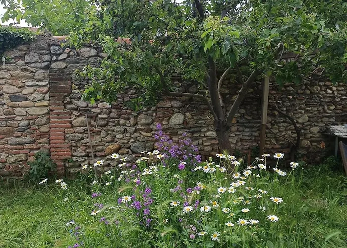 Belle Maison Lumineuse En Pierre Catalogne - Argeles Sur - Collioure 別荘